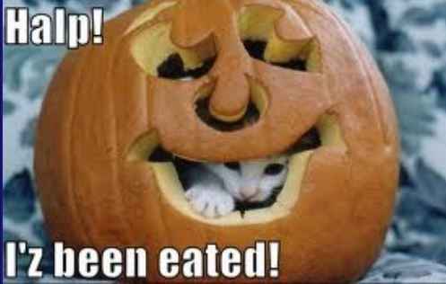 Halloween Memes!!!
