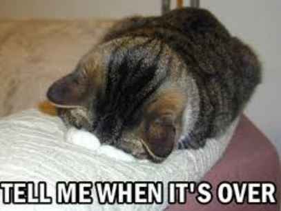 Nooooooo, i was on pg 10!!!
