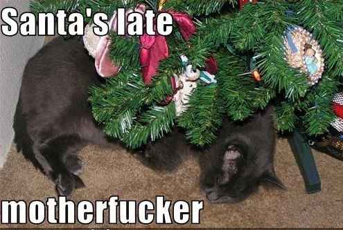 Happy [insert Holiday] from WWLauren & WWKatie!