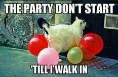 Bachelor party shenanigans?