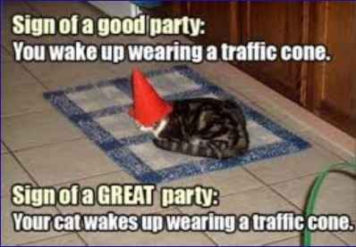 Bachelor party shenanigans?