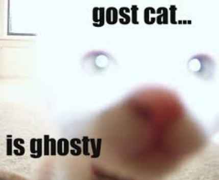 NWR: I think I heard a ghost in my house this morning...