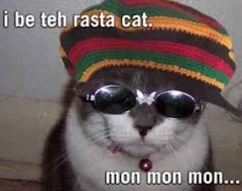 Weekend Plans