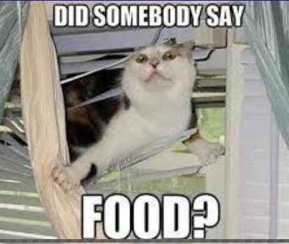 Has anyone worked in catering before?