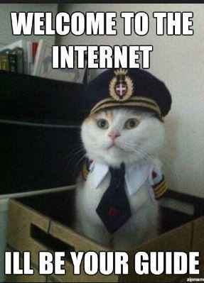 For Emmy's and those of us that enjoy the cat memes