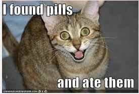 I need some advice on the alcohol subject......
