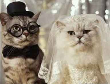 Before you were engaged?