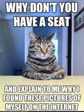 NWR:  cat meme time!