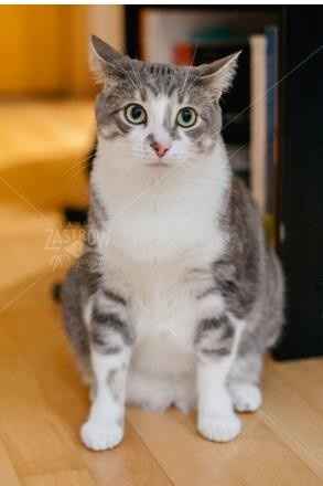 Fur baby friday!