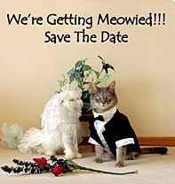 ADULTS ONLY RECEPTION!!!!
