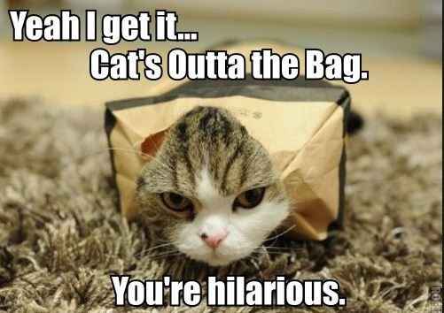 Fh let the cat out of the bag!