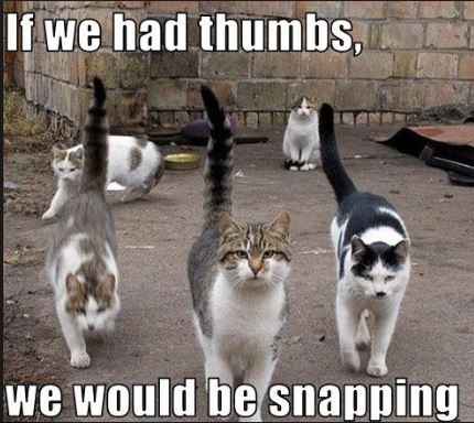 All the newbies just need to go away.