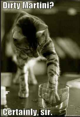 Spinoff - Cat wedding!