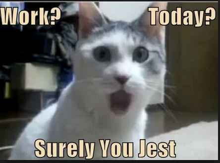 No Alcohol?!
