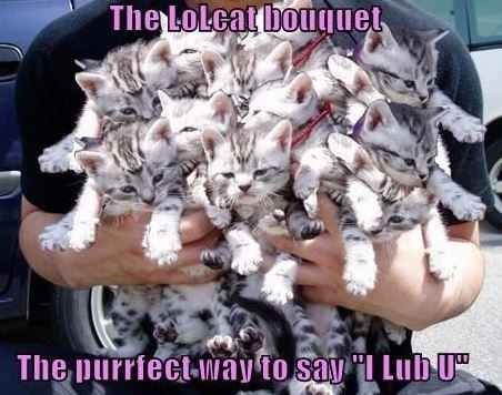 Congrats to purplekitten!