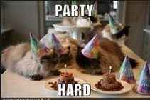 House Party