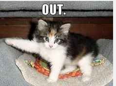 Over 60percent decline rate...*sigh* and apparently some people have to be a**holes... about it