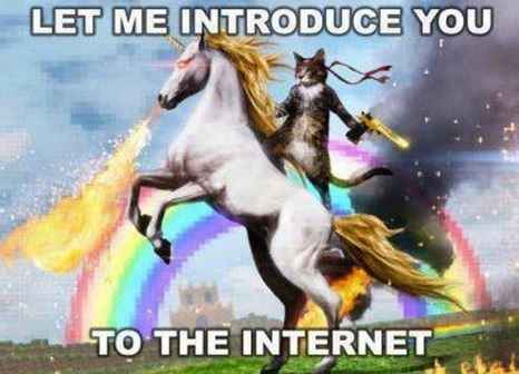 Is anything snark free these days?