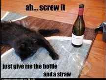 Wine Down Wednesday