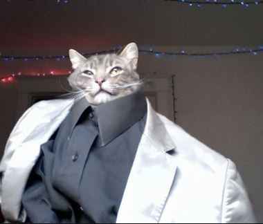 Groom Service?