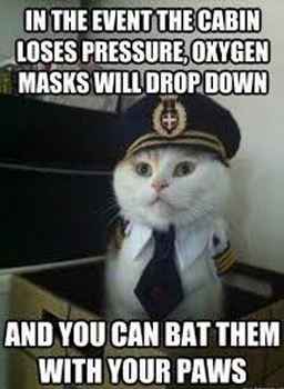 BECAUSE OF WW....