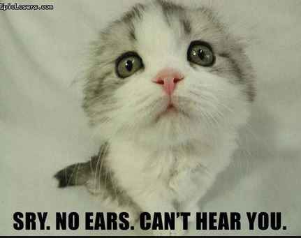BECAUSE OF WW....