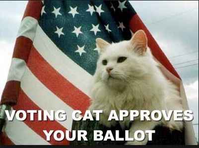 NWR: If you had to vote today, who would you vote for?