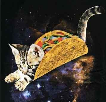 Stop hiding your posts and thinking the ground beef tacos are acceptable.