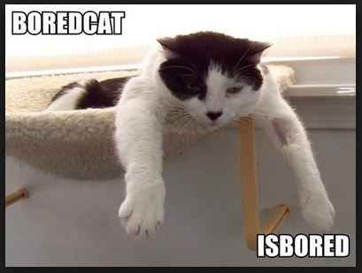 Want to have a wedding but can't afford it