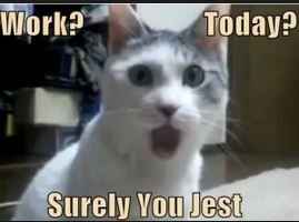 Are you taking the last name of your partner?