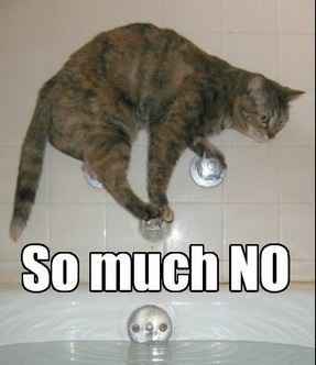 One is bad enough...