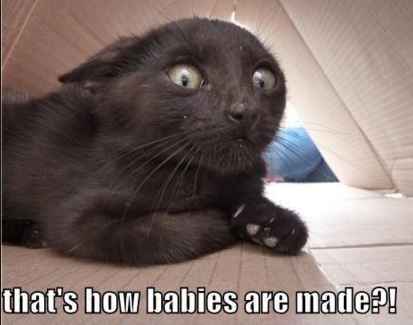 KWR - I need your advice (and snark)!