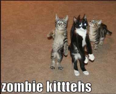 PSA: Serve Alcohol at Your Wedding