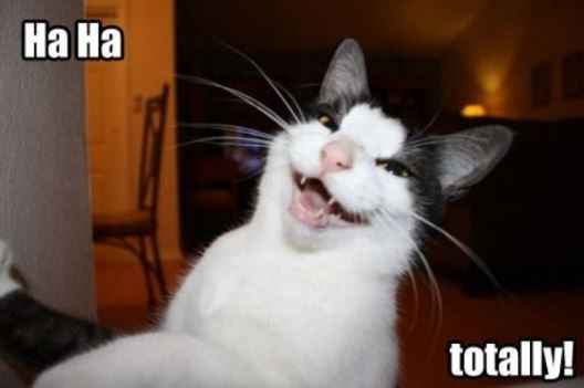 The best GoFundMe I've seen so far..