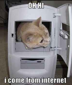 Where can I find the funny memes y'all use:)