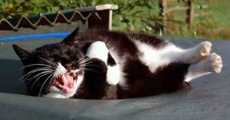 Sending invitations?