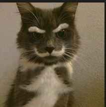 Are you taking the last name of your partner?