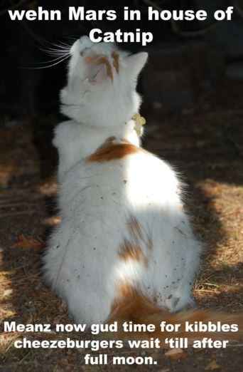 Mercury in retrograde