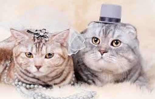 Two hearts that beat as one