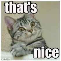 Relatives Upset Over Black Tie