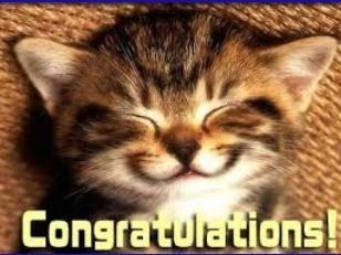 Nwr: we just adopted a new kitty