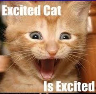 Three weeks to go! ( and Celia, I have a catering question)