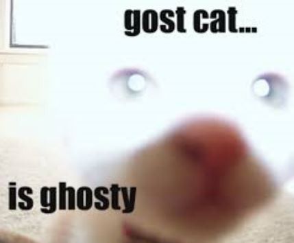 NWR: I think I heard a ghost in my house this morning...