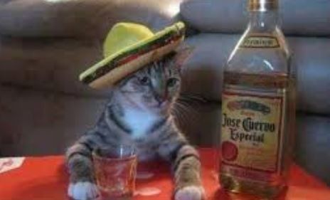 Bridesmaids and Groomsmen