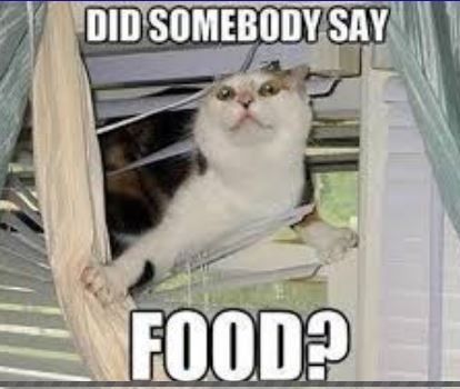 Has anyone worked in catering before?