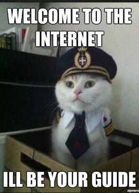 For Emmy's and those of us that enjoy the cat memes