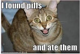 I need some advice on the alcohol subject......