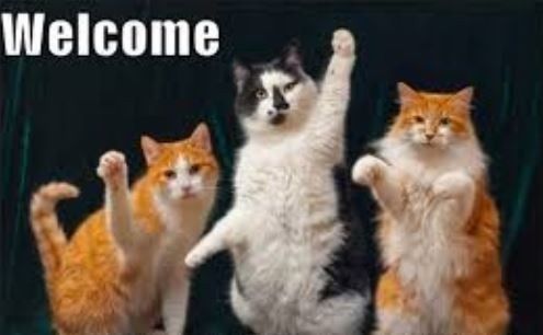 Whi are you people? :)