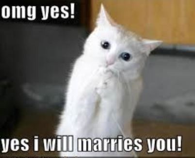 Before you were engaged?