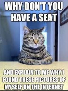 NWR:  cat meme time!